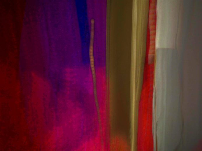 Hegyes Sándor: Memory leak / Inscape — MLEAK#003/19–23/26